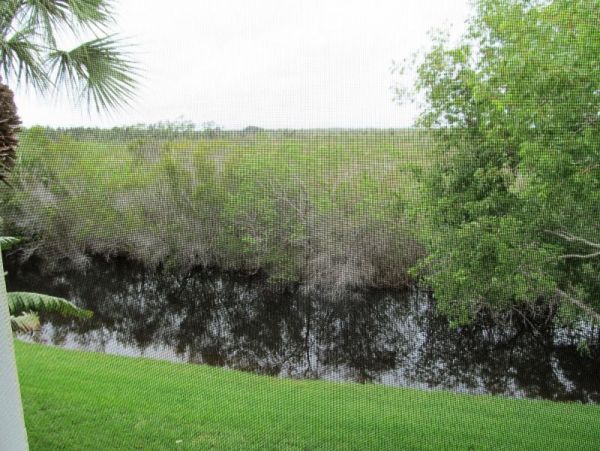 Naples Condo 960914