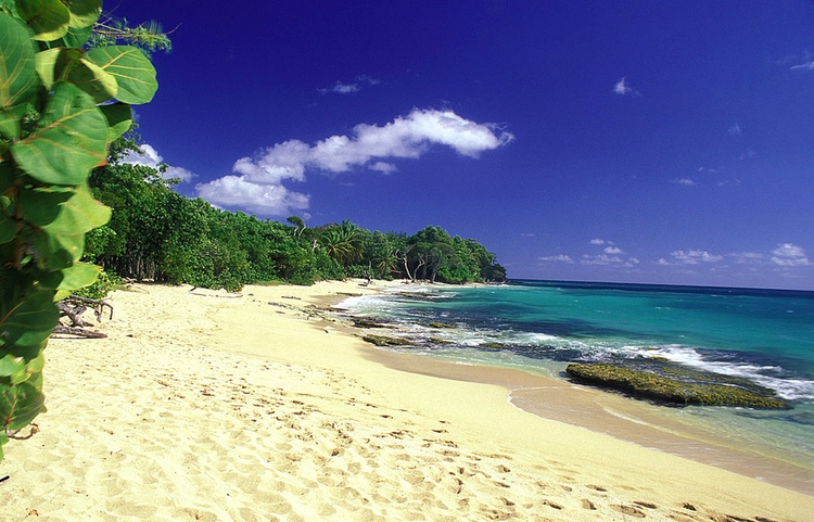 Martinique Home 960924