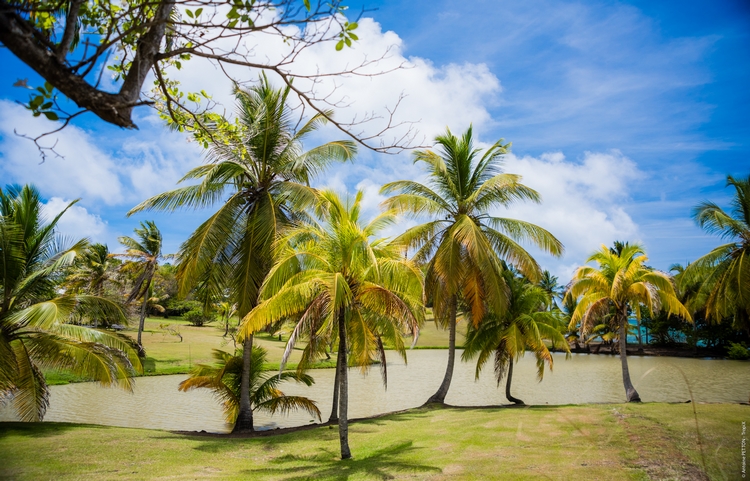 Martinique Home 960930