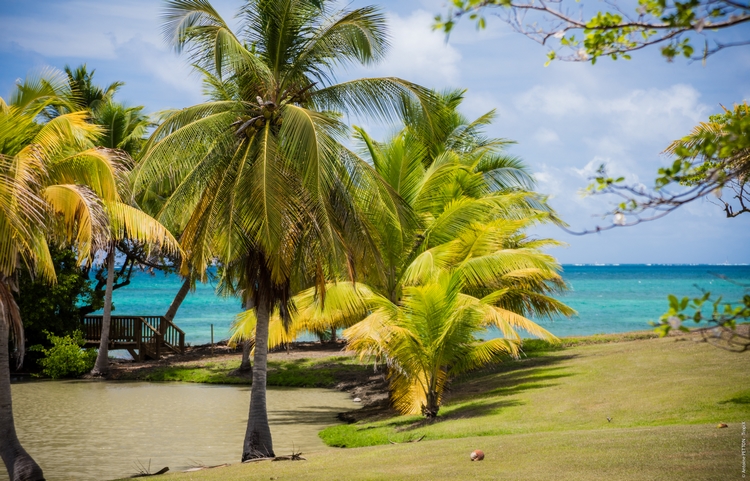 Martinique Home 960930