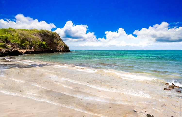 Martinique Home 960930
