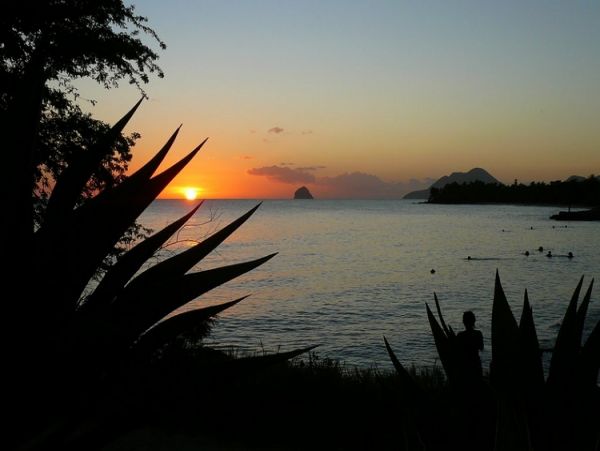 Martinique Home 960941