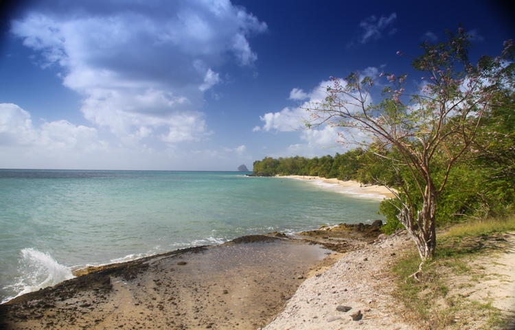 Martinique Home 960942