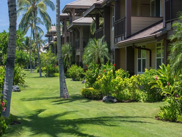 Kohala Coast Condo 960976