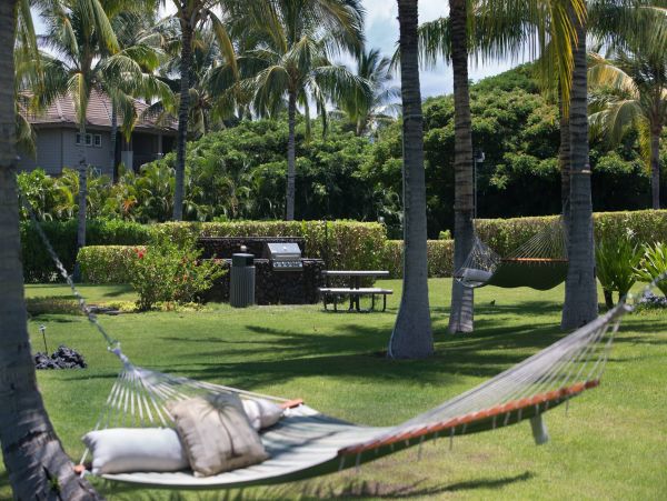 Kohala Coast Condo 960976
