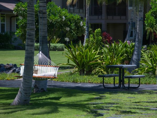 Kohala Coast Condo 960976