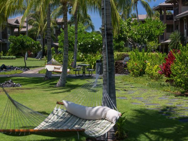 Kohala Coast Condo 960976