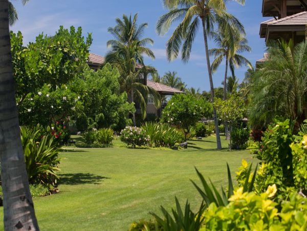 Kohala Coast Condo 960976