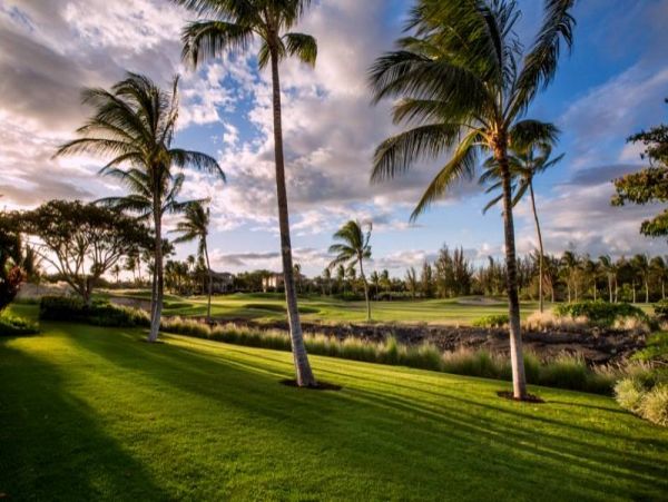 Kohala Coast Condo 960977