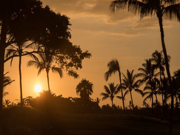 Kohala Coast Condo 960977