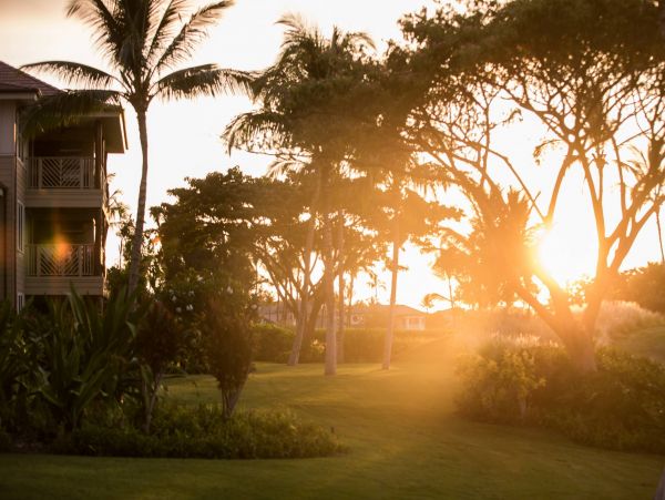 Kohala Coast Condo 960977