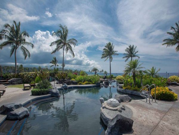 Kohala Coast Condo 960978