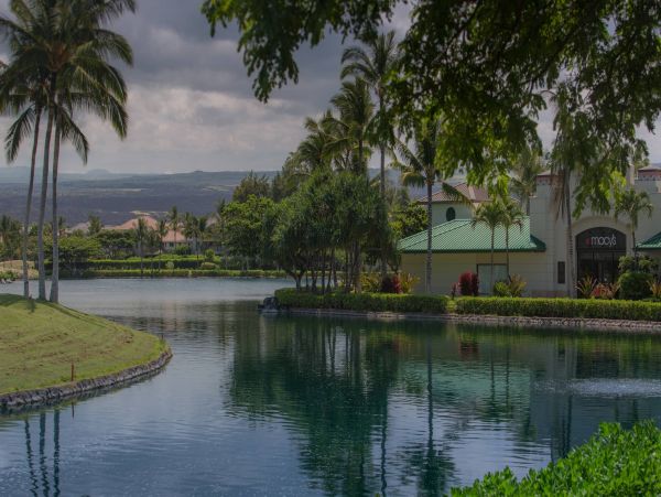 Kohala Coast Condo 960981