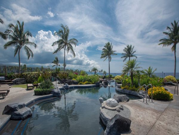 Kohala Coast Condo 960981