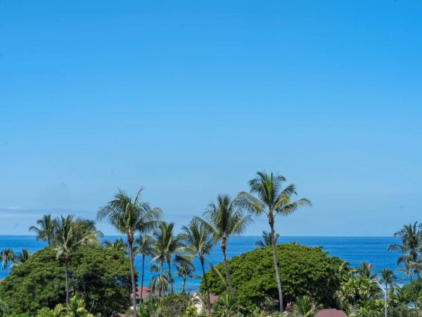Kohala Coast Condo 960988