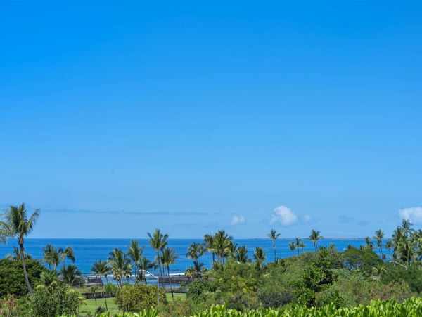 Kohala Coast Condo 960988