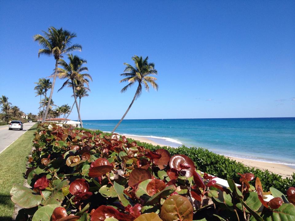 Palm Beach Home 961008