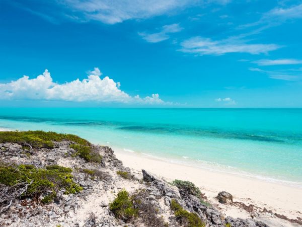Turks & Caicos Understated Elegance & Beachside Fun