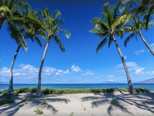 Kihei Beachfront Three-Bedroom  Posh Vacation Rental