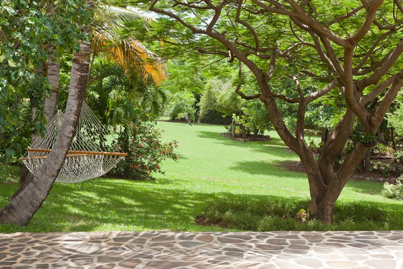 Mustique Saint Vincent And The Grenadines Home 961239
