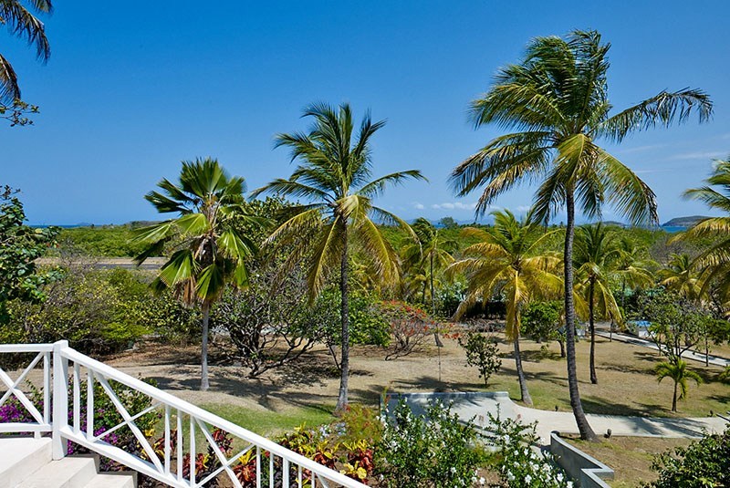 Mustique Saint Vincent And The Grenadines Home 961250