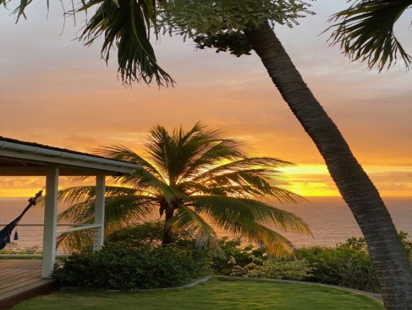 Mustique Saint Vincent And The Grenadines Home 961255