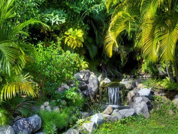 Mustique Saint Vincent And The Grenadines Home 961258