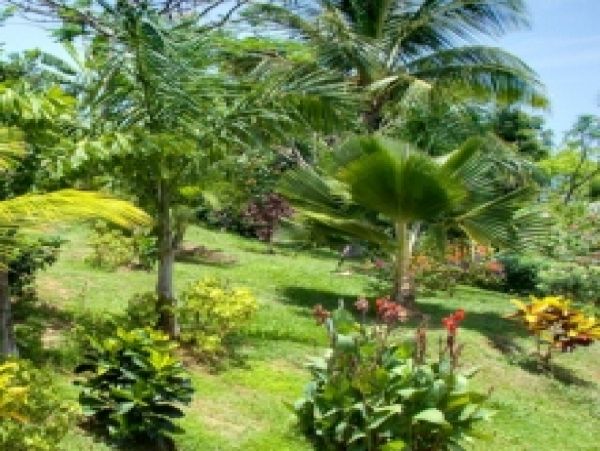 Mustique Saint Vincent And The Grenadines Home 961262