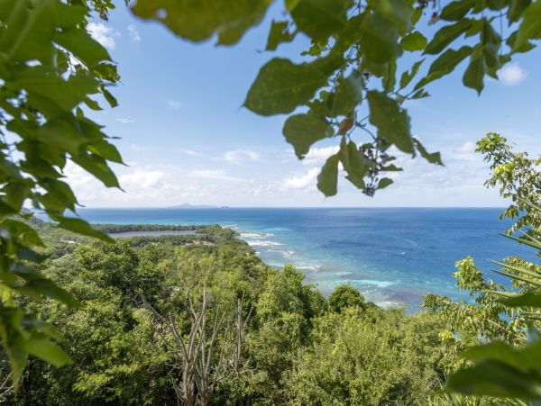 Mustique Saint Vincent And The Grenadines Home 961289