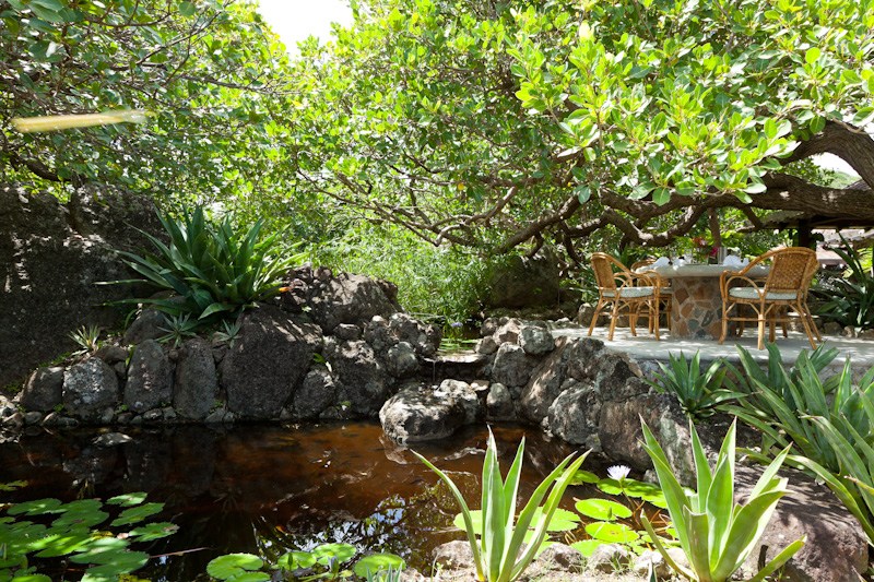 Mustique Saint Vincent And The Grenadines Home 961313