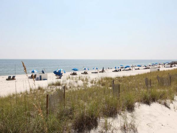 Perdido Key Condo 961365