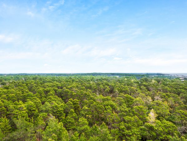 Beaches Of South Walton Condo 961385