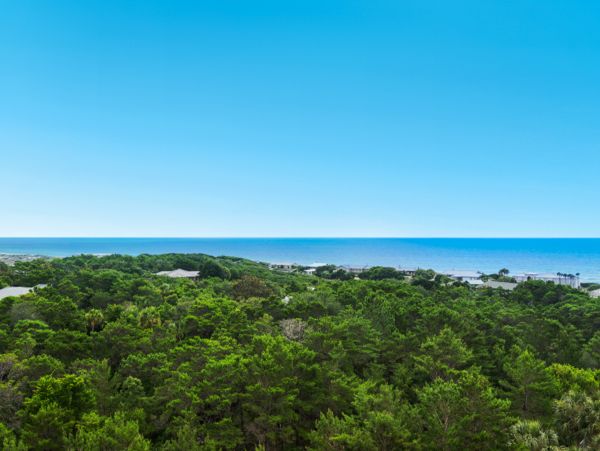 Beaches Of South Walton Condo 961495