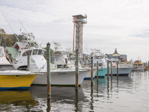 Beaches Of South Walton Condo 961536