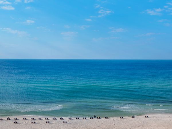 Beaches Of South Walton Condo 962263