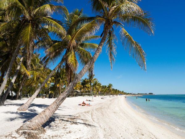 Stylish Home and Guest Hose with Shared Pool in Key West