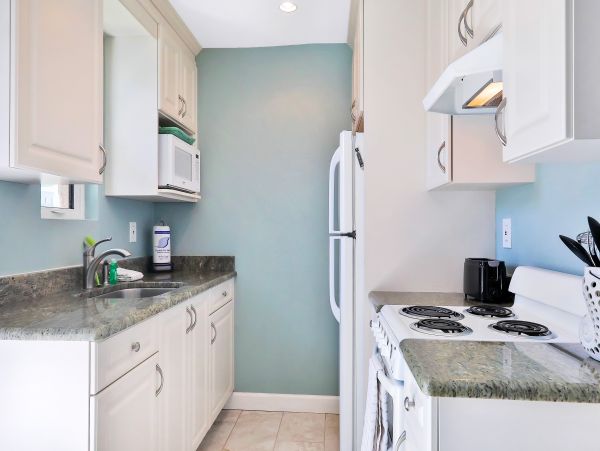 St. Petersburg Condo 962486