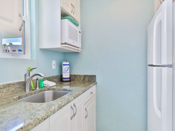 St. Petersburg Condo 962486