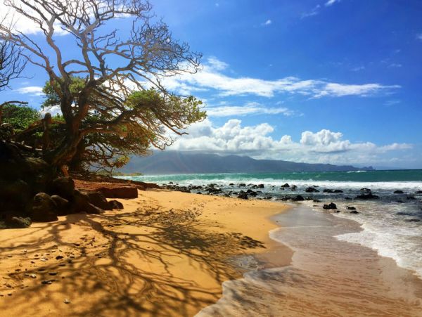 Oceanfront Paia Vacation Townhome