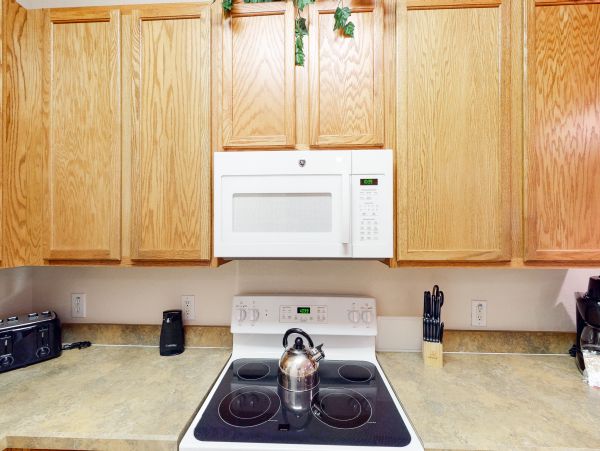 Orlando Condo 962523
