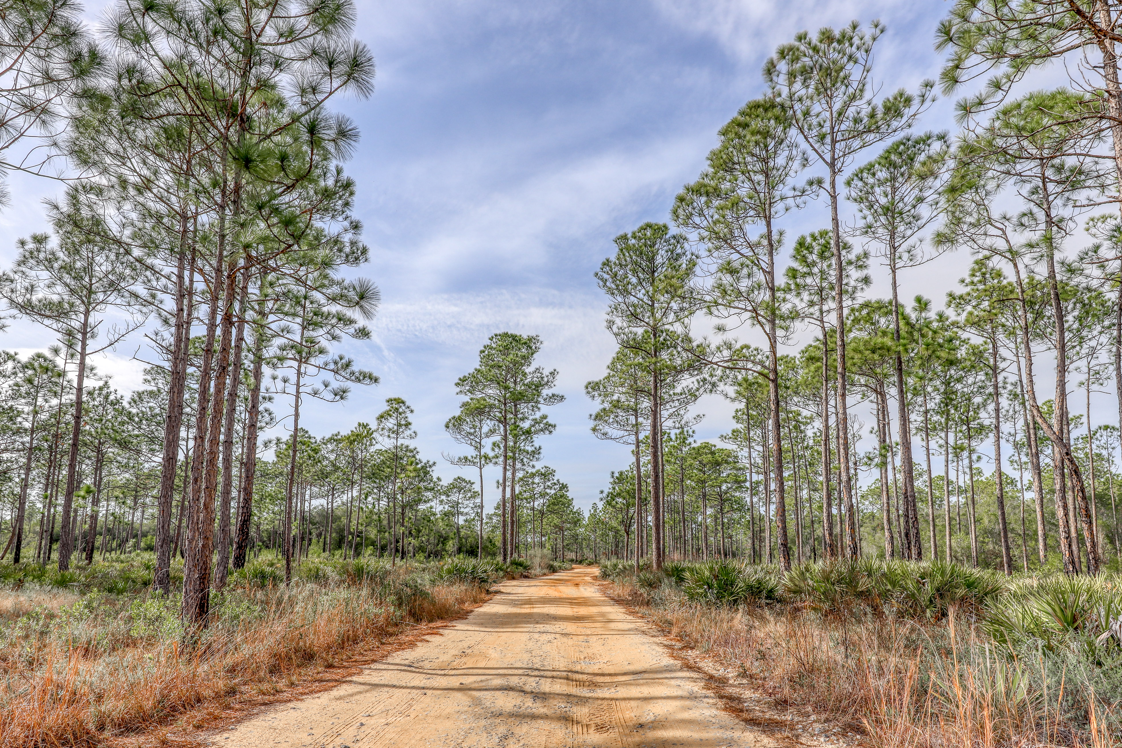 Beaches Of South Walton Condo 962537