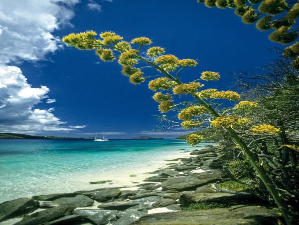 St. Thomas Vacation Rental: Secluded Cliffside Luxury Villa