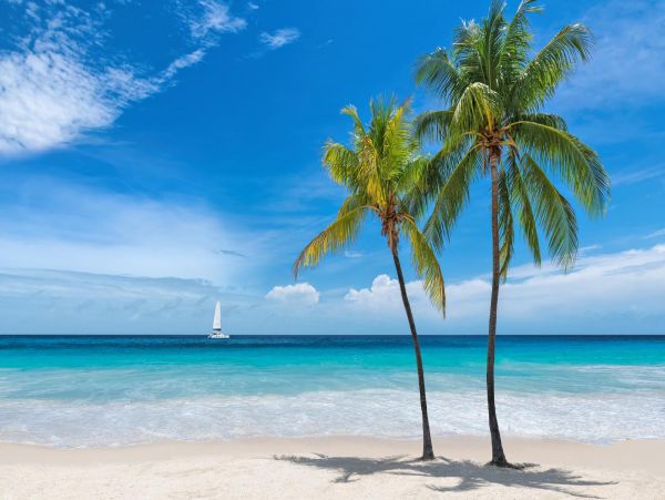 Experience Island Paradise in this Key West Vacation Rental