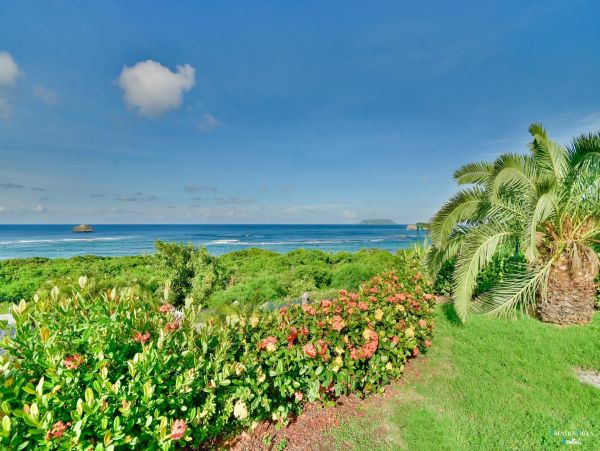 Guadeloupe Home 962605