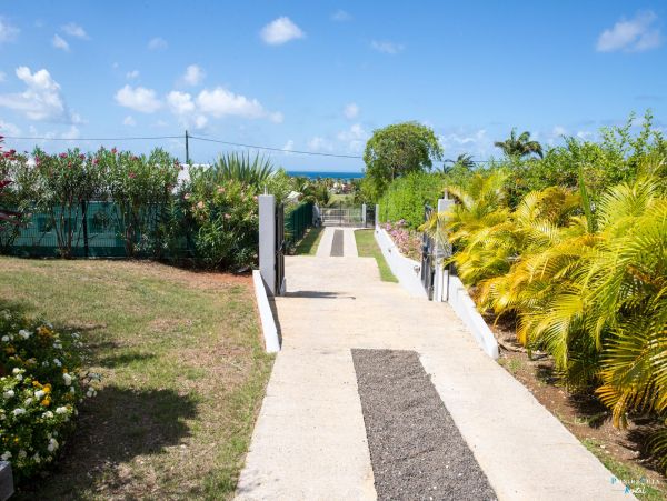 Guadeloupe Home 962609
