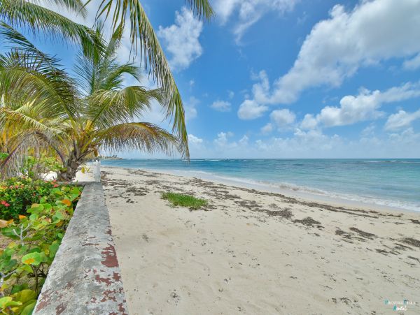 Guadeloupe Home 962610