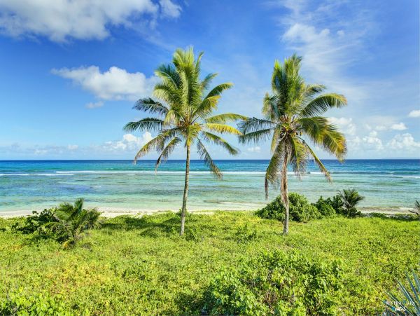 Guadeloupe Home 962621