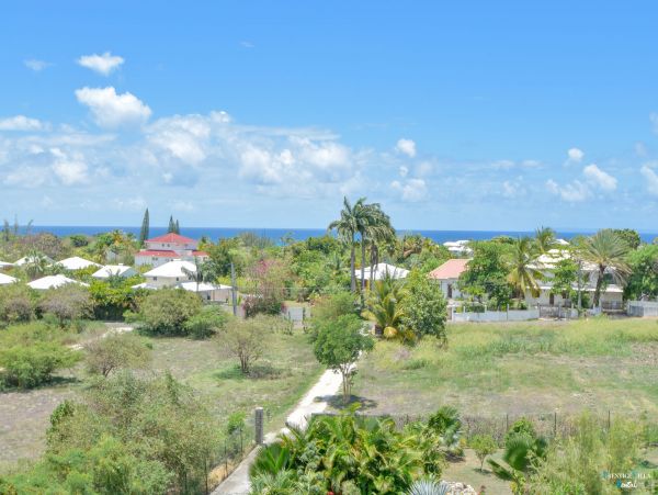 Guadeloupe Home 962623