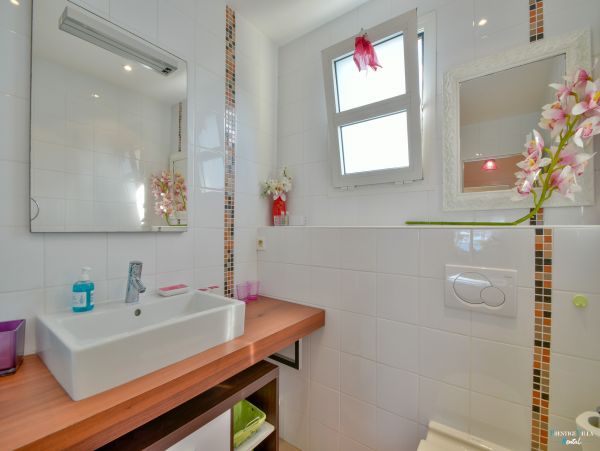 Guadeloupe Home 962645
