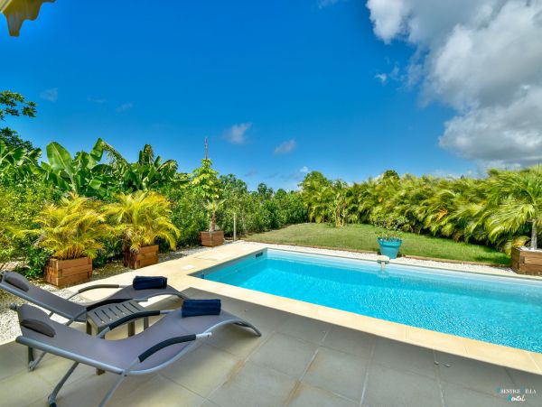 Guadeloupe Home 962647